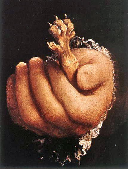 Lorenzo+Lotto-1480-1557 (130).jpg